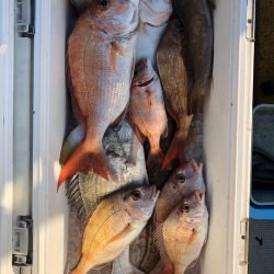 フィッシング キッタカ 釣果