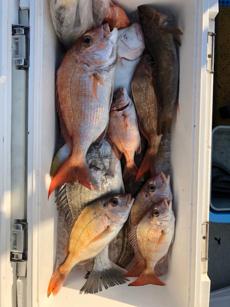 フィッシング キッタカ 釣果