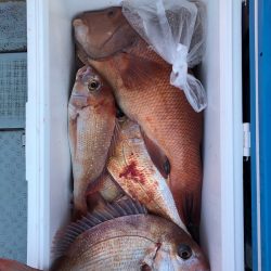 フィッシング キッタカ 釣果