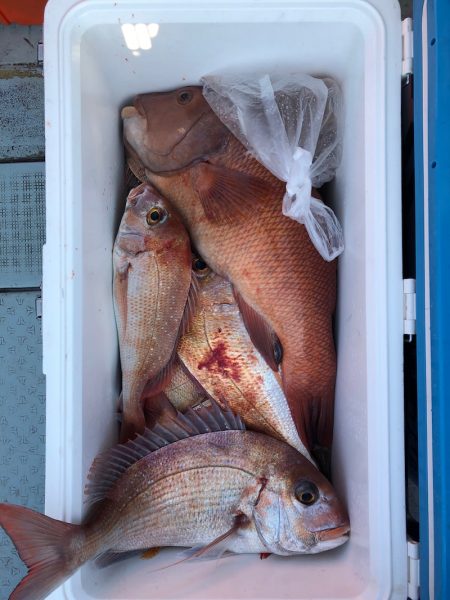 フィッシング キッタカ 釣果