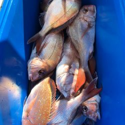 第二八坂丸 釣果