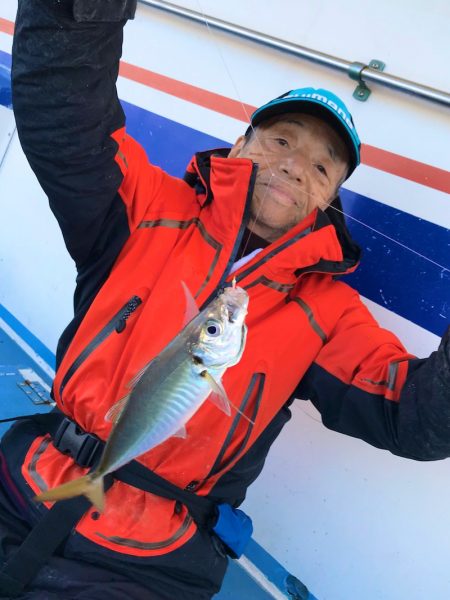 ヤザワ渡船 釣果