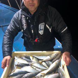ヤザワ渡船 釣果