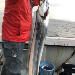 フィッシング キッタカ 釣果