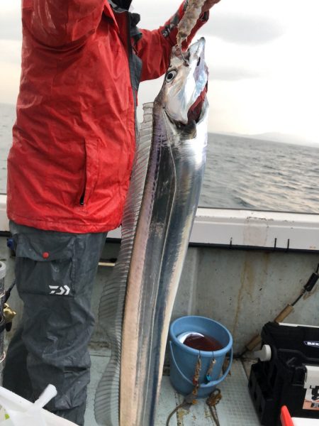 フィッシング キッタカ 釣果