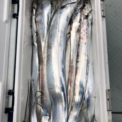 フィッシング キッタカ 釣果