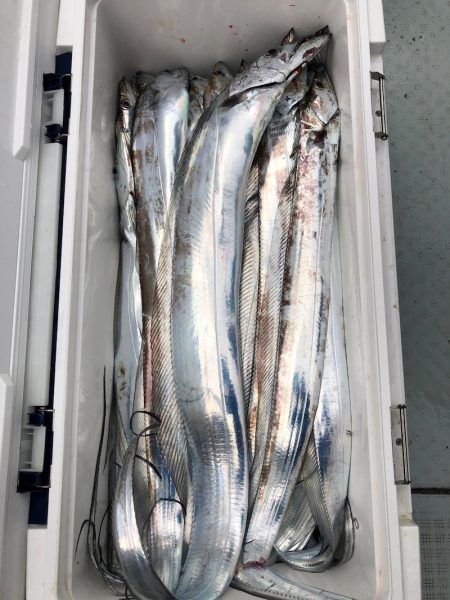 フィッシング キッタカ 釣果