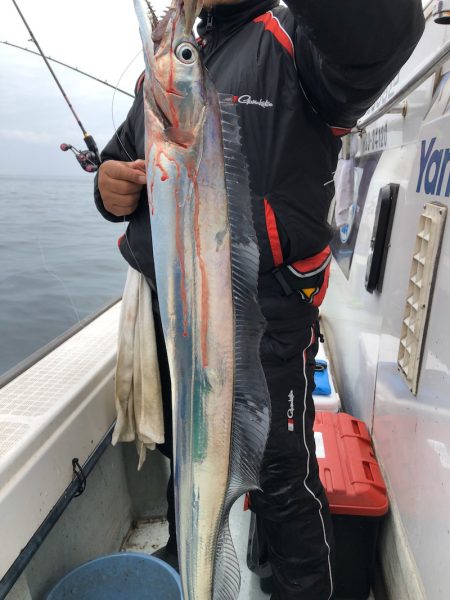 フィッシング キッタカ 釣果