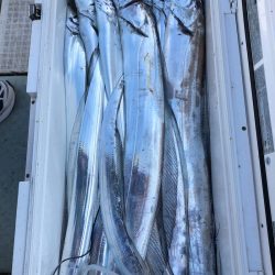 フィッシング キッタカ 釣果