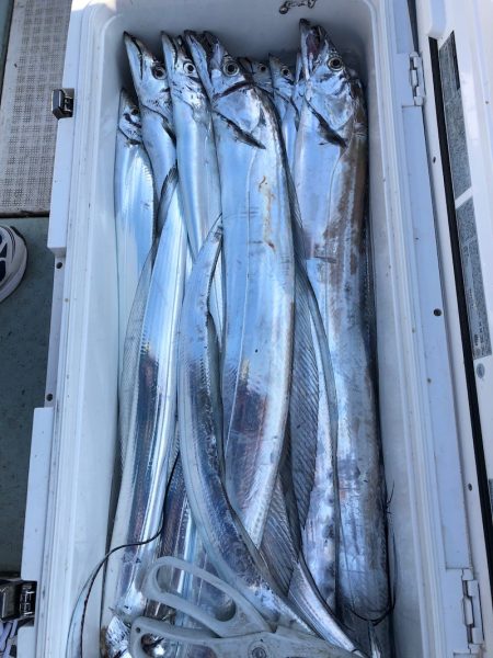 フィッシング キッタカ 釣果