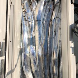 フィッシング キッタカ 釣果