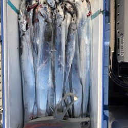 フィッシング キッタカ 釣果