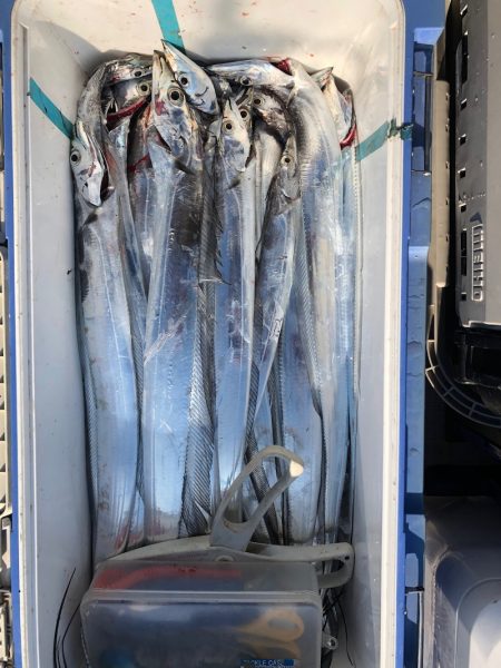 フィッシング キッタカ 釣果