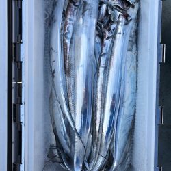 フィッシング キッタカ 釣果