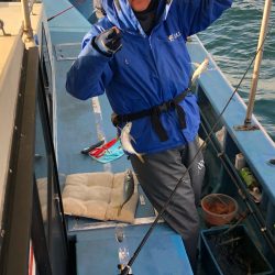 ヤザワ渡船 釣果