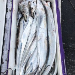 フィッシング キッタカ 釣果