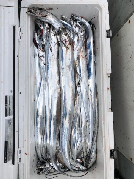 フィッシング キッタカ 釣果