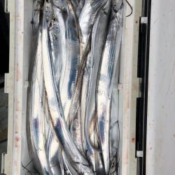 フィッシング キッタカ 釣果