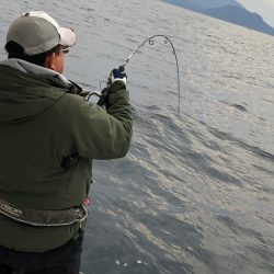 あみや渡船 JIGBOY 釣果