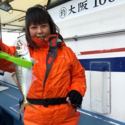 ヤザワ渡船 釣果