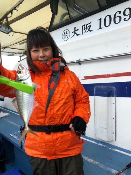 ヤザワ渡船 釣果