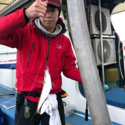 ヤザワ渡船 釣果