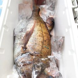 第二八坂丸 釣果