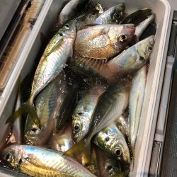 ＴＡＲＯＭＡＲＵ 釣果