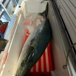 第二八坂丸 釣果