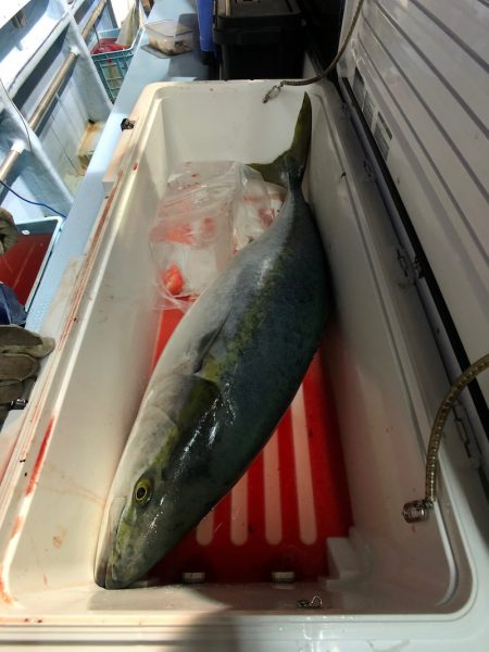 第二八坂丸 釣果