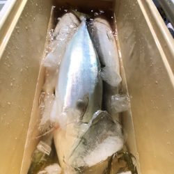 第二八坂丸 釣果