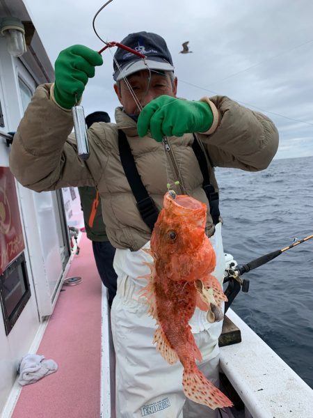 晃山丸 釣果