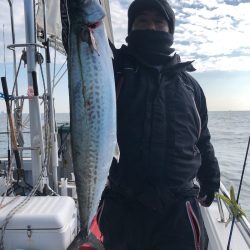 ビッグファイター 釣果