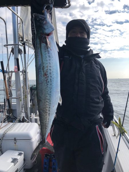 ビッグファイター 釣果