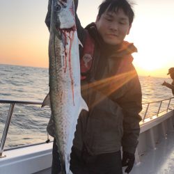 ビッグファイター 釣果