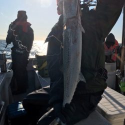 ランスルー 釣果