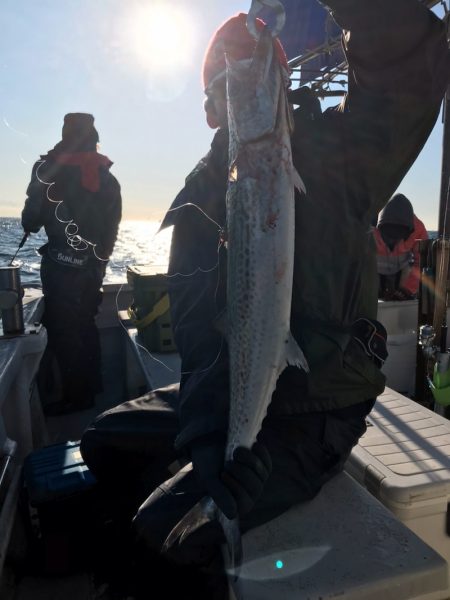 ランスルー 釣果