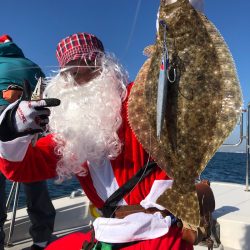 ビッグファイター 釣果