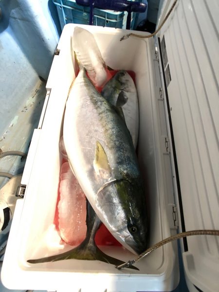 第二八坂丸 釣果