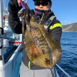 愛海丸 釣果
