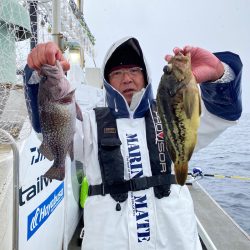 シーランチ 釣果