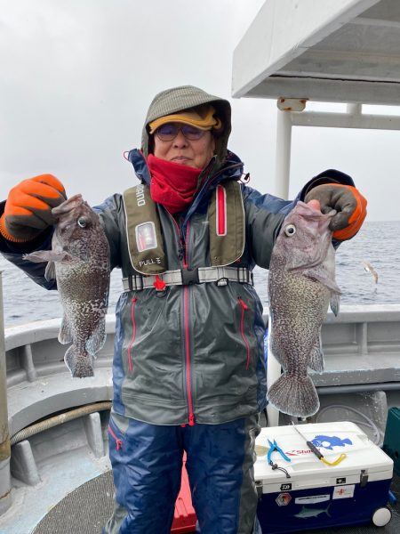 シーランチ 釣果
