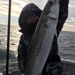 ランスルー 釣果