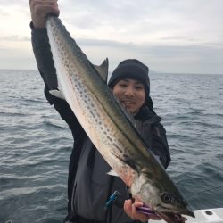 ランスルー 釣果