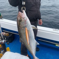 釣鯛洋 釣果