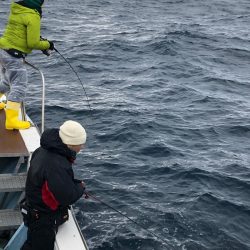 あみや渡船 JIGBOY 釣果