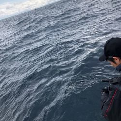 あみや渡船 JIGBOY 釣果