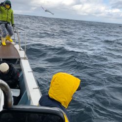 あみや渡船 JIGBOY 釣果