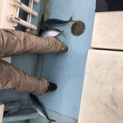 あみや渡船 JIGBOY 釣果