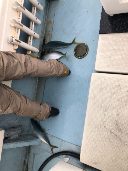 あみや渡船 JIGBOY 釣果